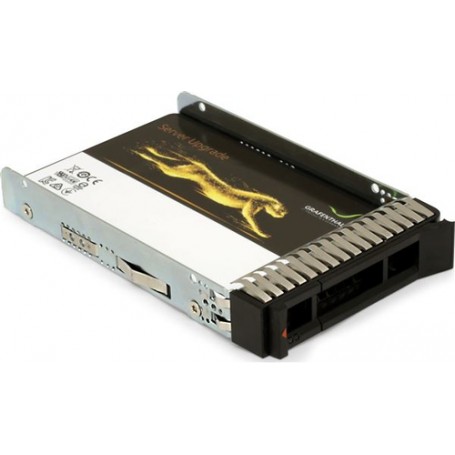GRAFENTHAL 651K9030 drives allo stato solido 960 GB SAS (651K9030)