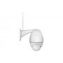 Foscam FI9928P telecamera di sorveglianza Telecamera di sicurezza IP Esterno 1920 x 1080 Pixel Parete (FI9928P)