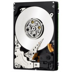 IBM 44X2450 450 GB Canale a fibra (44X2450)