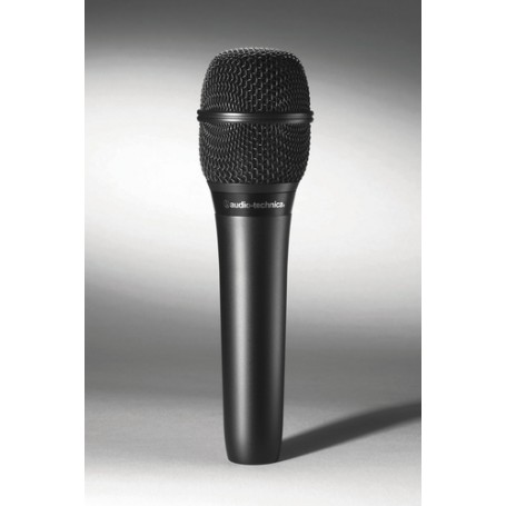 Audio-Technica AT2010 microfono (AT2010)