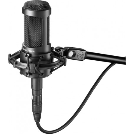 Audio-Technica AT2050 microfono (AT2050)