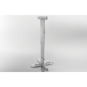 Celexon 1090283 supporto per proiettore Soffitto Bianco (1090283)