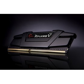 G.Skill 16GB DDR4-3600 memoria 2 x 8 GB 3600 MHz (F4-3600C16D-16GVK)