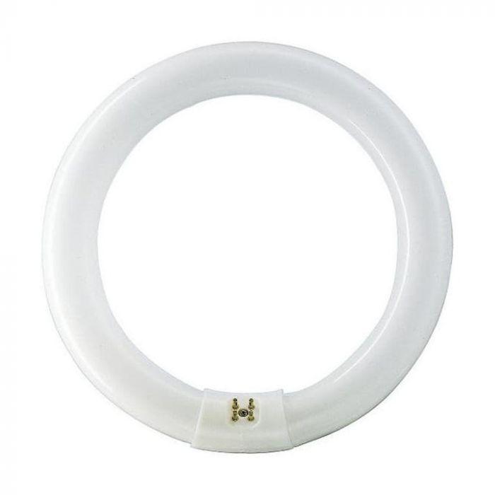 Osram Lumilux T9 C 22W 827 G10q