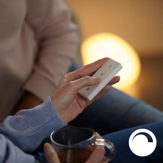 Automatizacija i scenariji Philips Hue