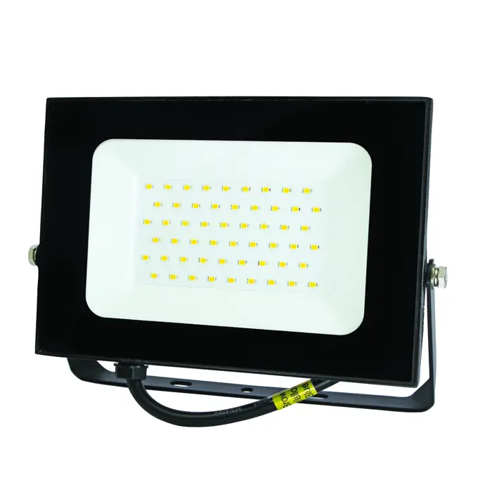306-304-led-reflektor-50-w-6500-k-hladno-bela-boja-svetla-42-61660-01051950.webp
