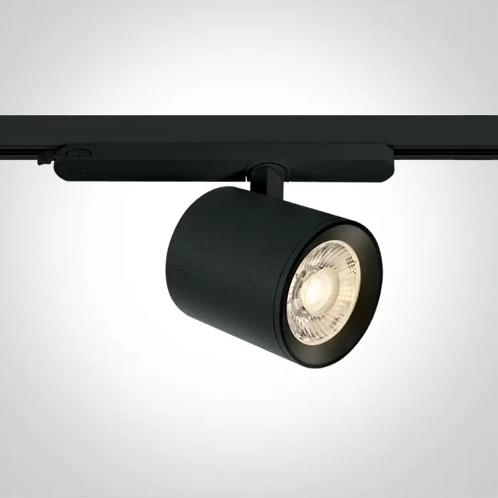 reflektor-za-sinu-led-30w-ww-230v-crni-11717-02094051.webp