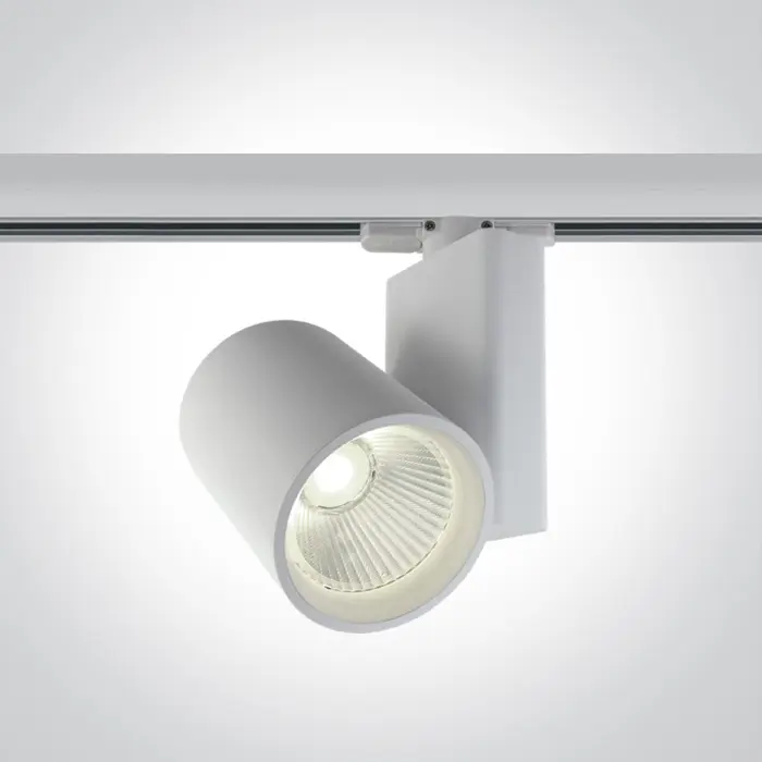 reflektor-za-sinu-led30w4000k2400lm38230v-bijeli-62093-02101159.webp