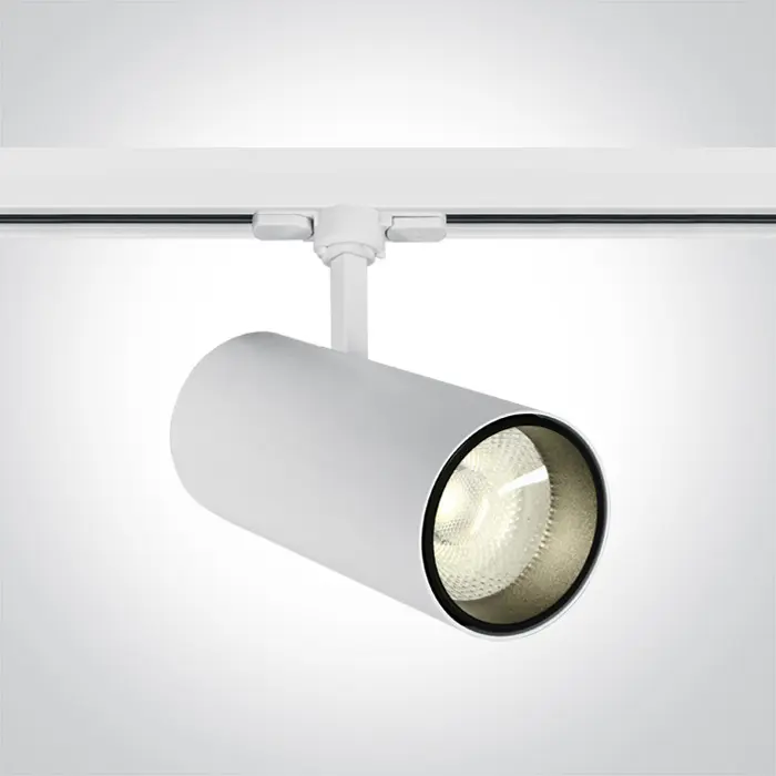 reflektor-za-sinu-led30w4000k2600lm38230v-bijeli-10621-02092282.webp