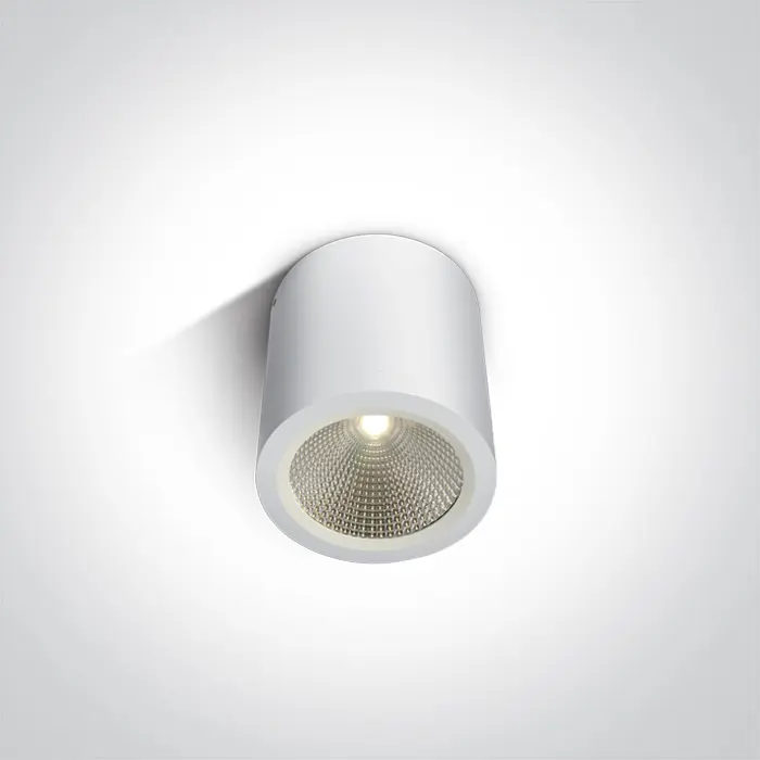 stropna-led-svjetiljka-10w3000k700lm60240v-ip54-bijela-56460-02060791.webp