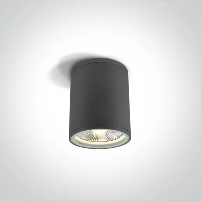 stropna-svjetiljka-1xe2775wpar30230v-ip54-antracit-95268-02060784.webp