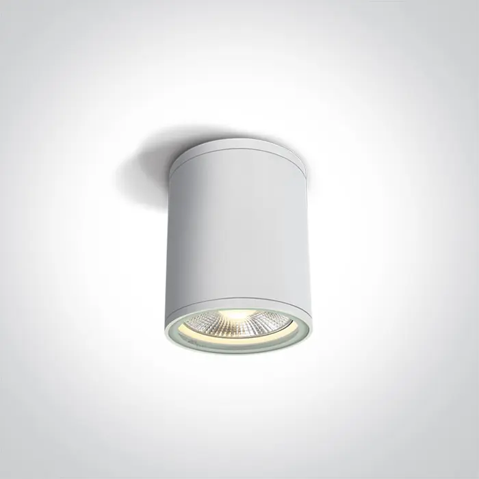 stropna-svjetiljka-1xe2775wpar30230v-ip54-bijela-82585-02060685.webp
