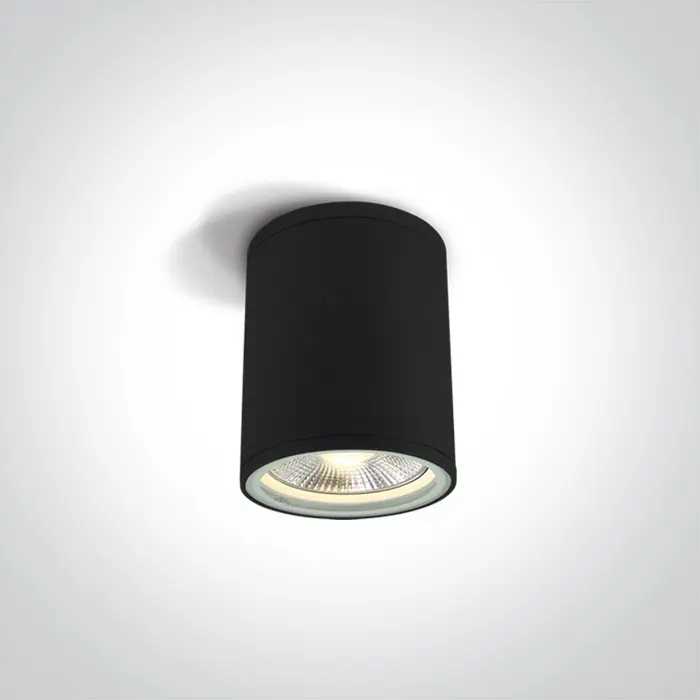 stropna-svjetiljka-1xe2775wpar30230v-ip54-crna-1773-02061362.webp