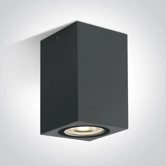 stropna-svjetiljka-1xgu1010w230v-ip65-antracit-17994-02022778.webp