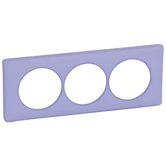 ukrasni-okvir-2-struki-57mm-lavanda-89995-10018617.webp